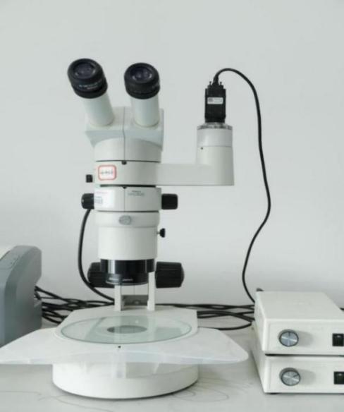 体视光学显微镜